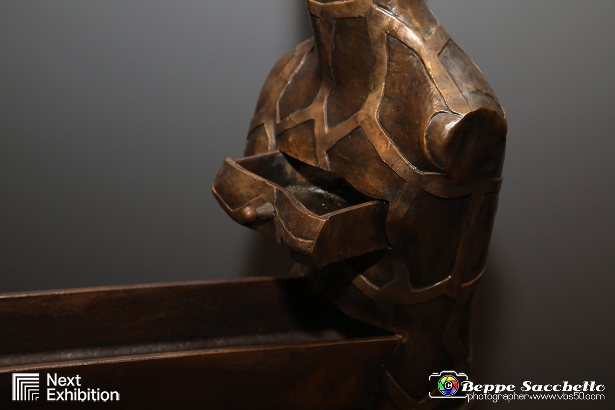VBS_7773 - Salvador Dalì - The Exhibition.jpg